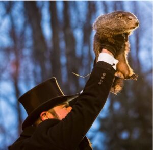 Grading the groundhogs